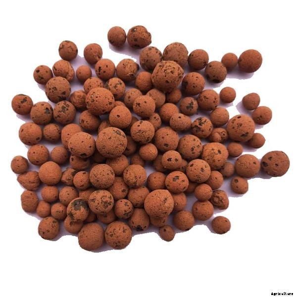 Definitions of Aquaponic Terms