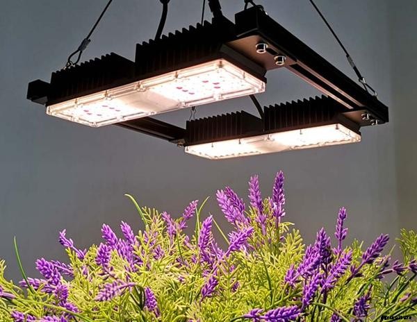 Definitions of Aquaponic Terms