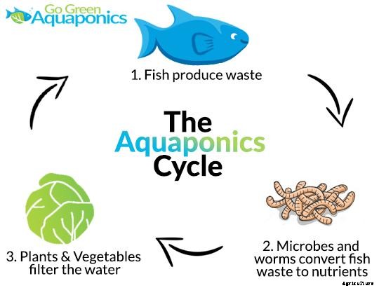 100 Best Aquaponics Resources