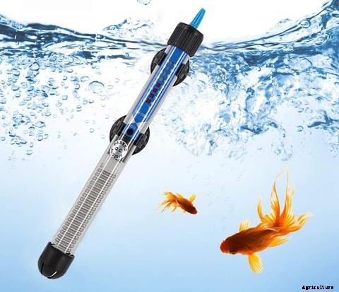 The Best Fish for Aquaponics