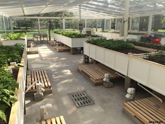 Aquaponics Business Plan