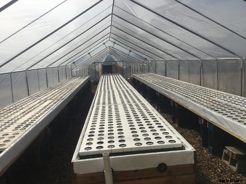 Aquaponics Business Plan