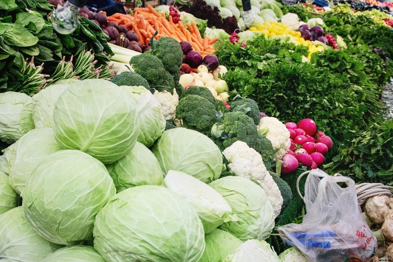 5 Agribusiness Ideas to Future-proof Your Income Stream