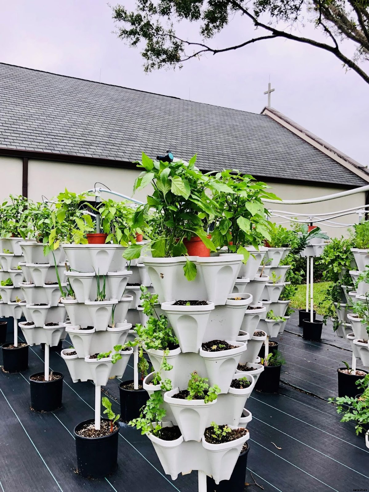 6 Types of Hydroponic Systems for Home-farming Set-up