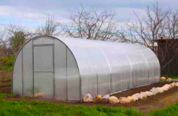 Merits and demerits of Polyhouse farming in India