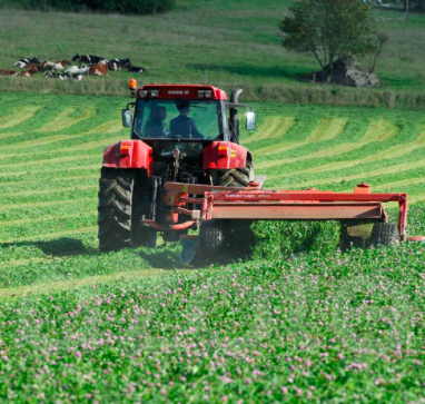 GETTING STARTED WITH LEY FARMING- ALL THE BASICS