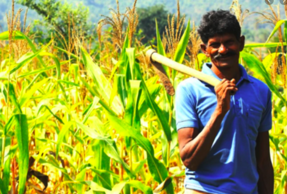 Pradhan Mantri Kisan Samman Nidhi- What is it and what you should know in 2020