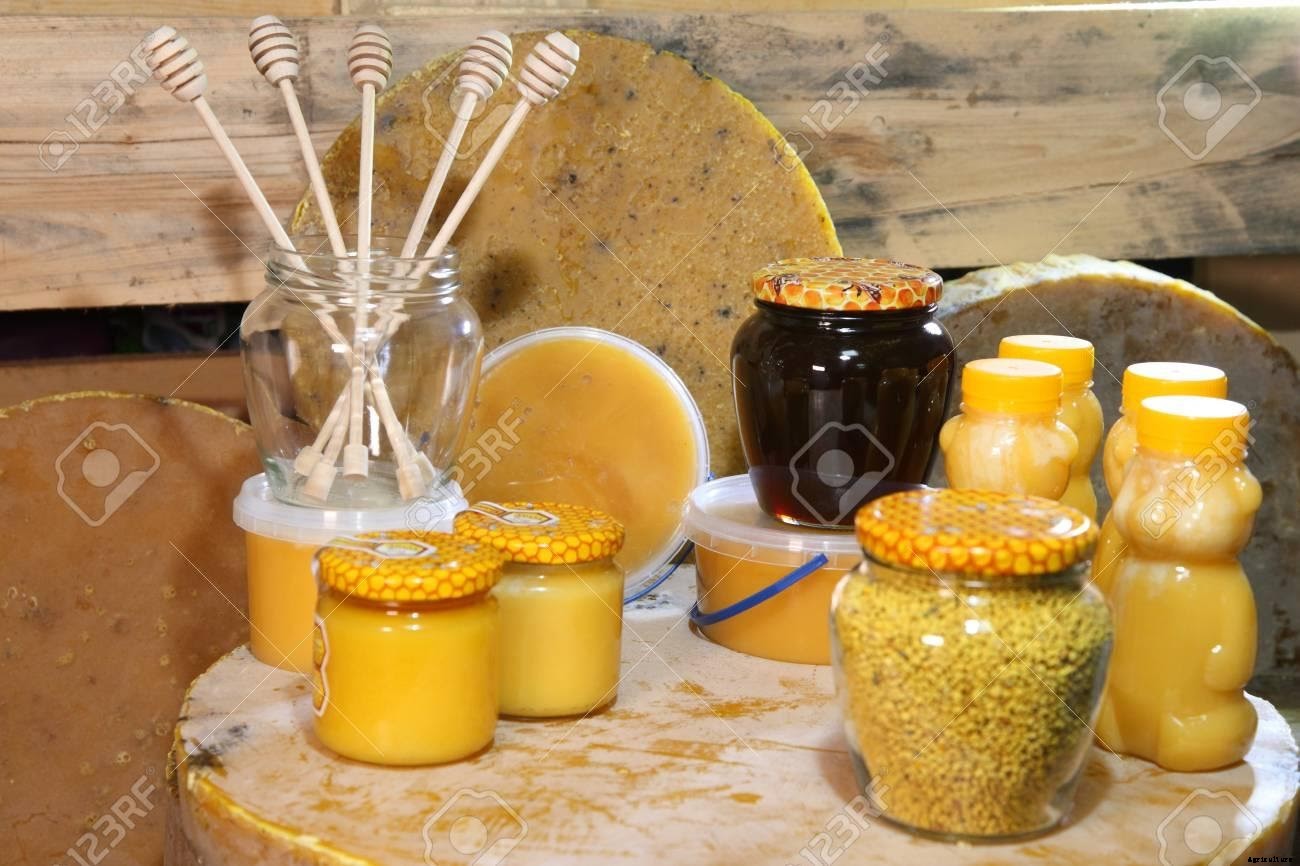 Beekeeping in India- A Complete Guide to Beekeeping Farming in 2020