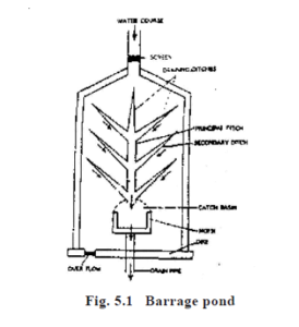 Management of Culture Systems