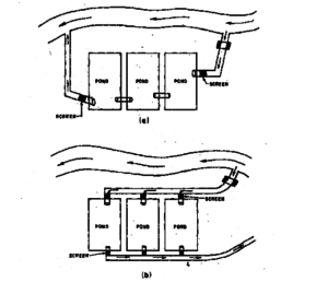 Management of Culture Systems