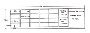 Layout of fish farm