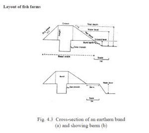 Layout of fish farm