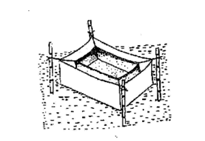 SEED PRODUCTION TECHNOLOGIES