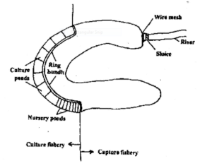 Inland Water Bodies Suitable for Culture in India