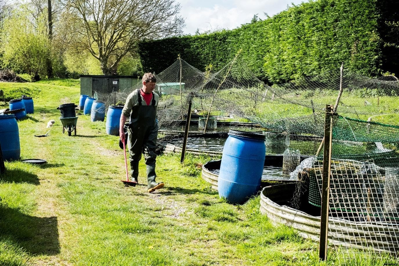 The Truth about Online Biofloc Fish Farming Training in India