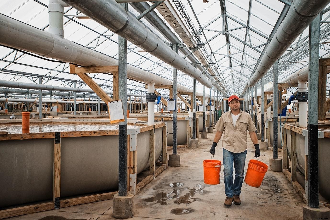 The Truth about Online Biofloc Fish Farming Training in India