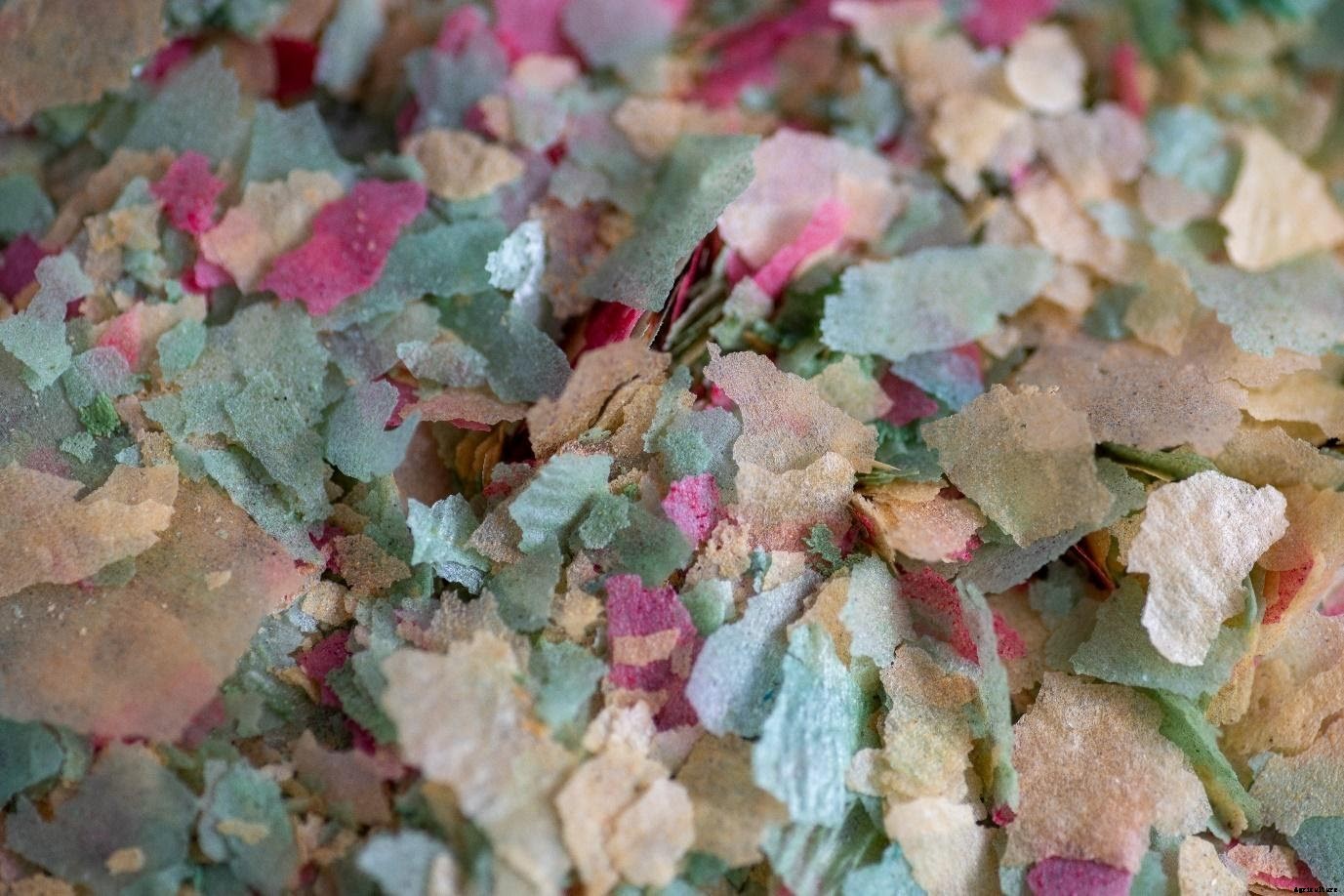 3 Tips to make your Aquaculture Business Sustainable and Future-proof