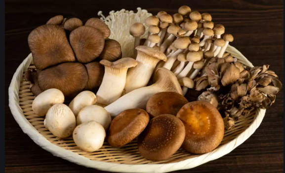 Mushroom Farming for Absolute beginners