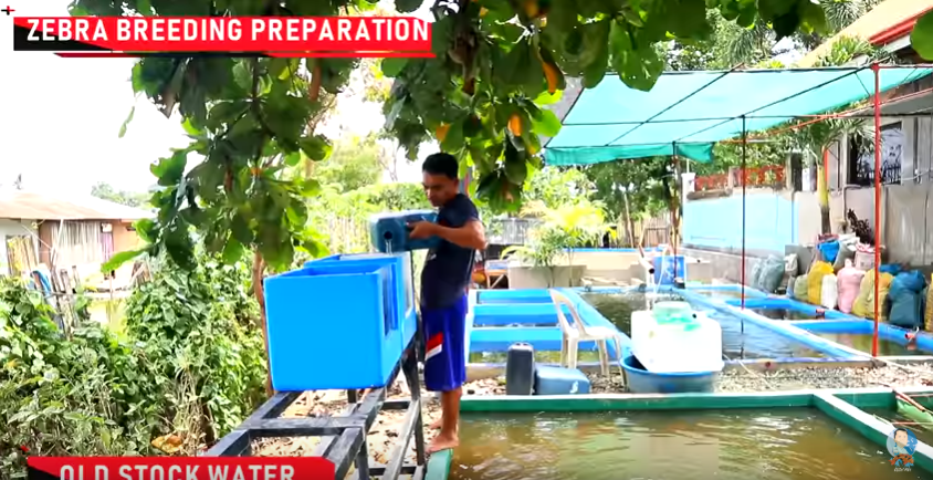 Major Improvements and Latest Update in the Backyard Fish Farm