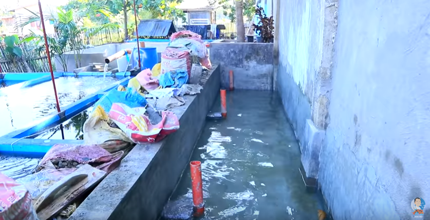 Major Improvements and Latest Update in the Backyard Fish Farm