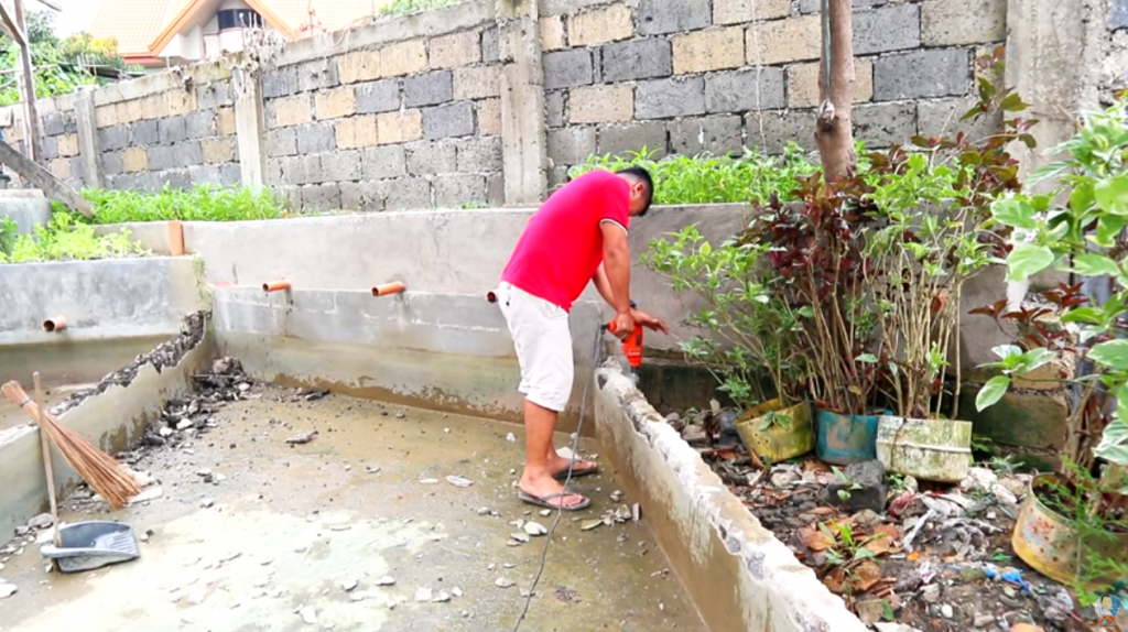 Keeping High Quality Koi Fish for Breeding Purposes