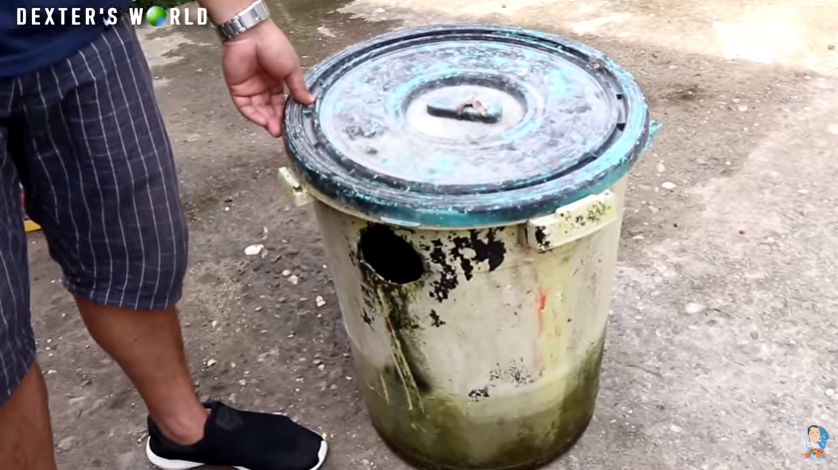 Culturing an Alternative Fish Food, No Money Spent