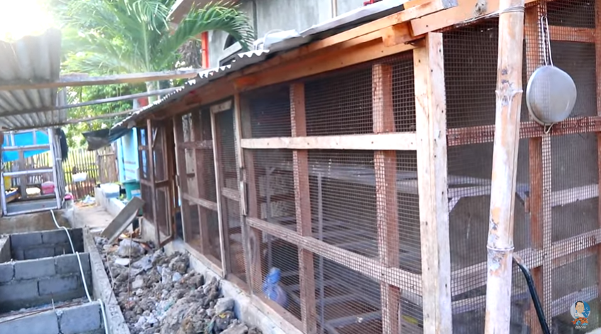 This Update will Let You Start Your Fish Farm