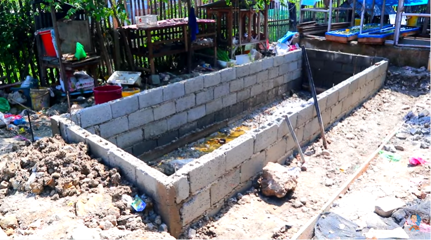 Betta Fish Breeding and How to Transfer Baby Betta Properly