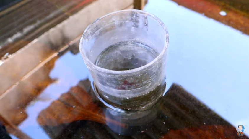 Betta Fish Breeding and How to Transfer Baby Betta Properly