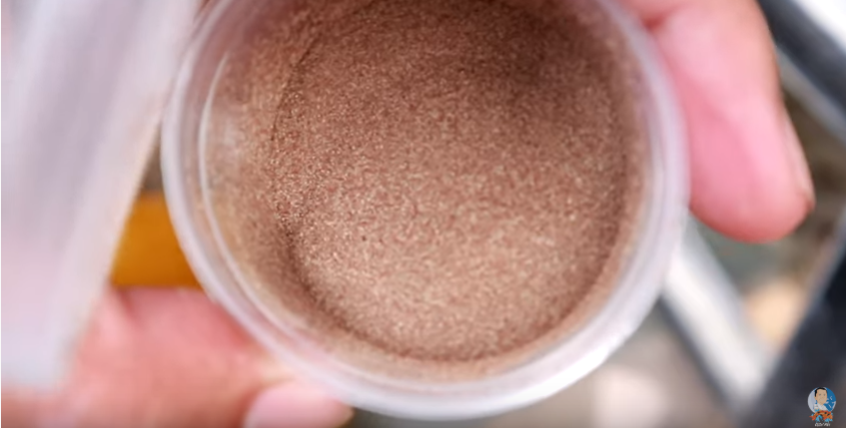 Betta Fish Breeding and How to Transfer Baby Betta Properly