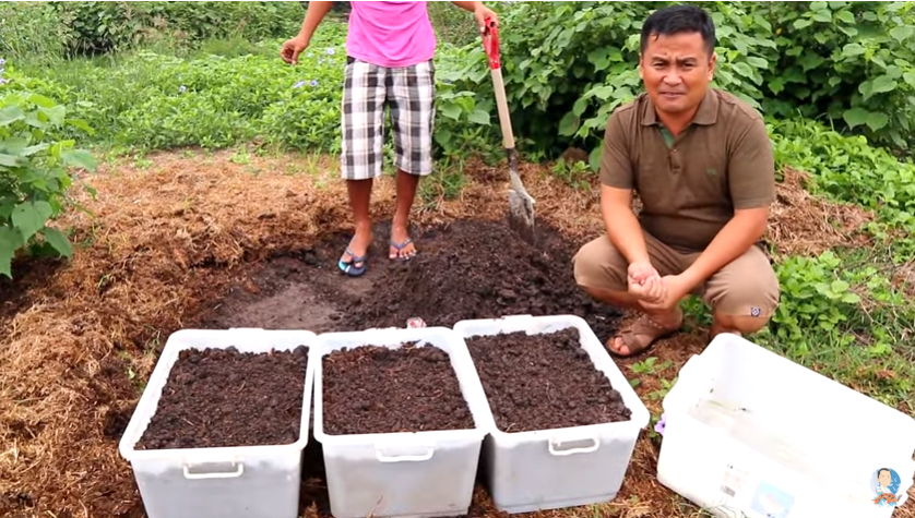 Interesting Things About Breeding Fishes and Aquaponic Gardening