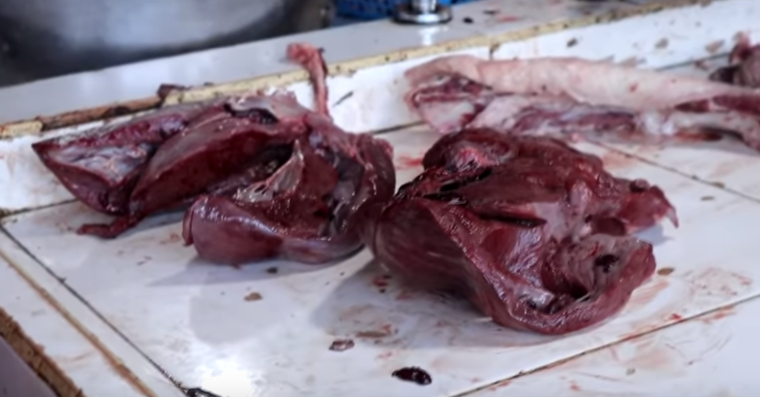 Alternative Protein-Rich Fish Food