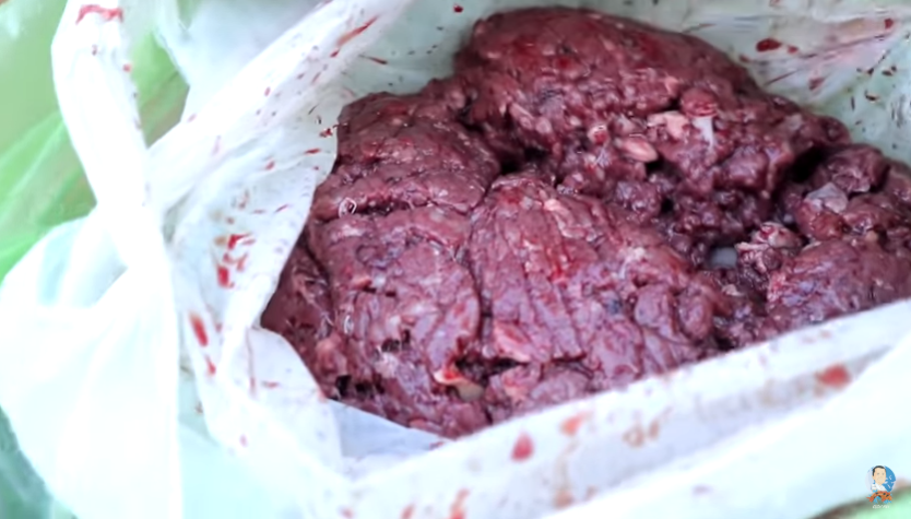 Alternative Protein-Rich Fish Food