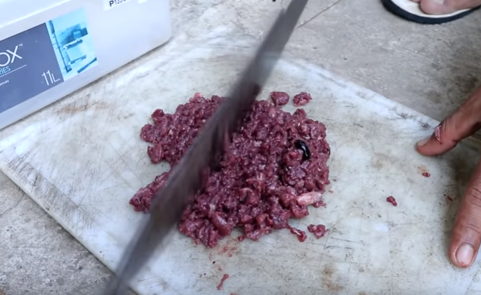 Alternative Protein-Rich Fish Food