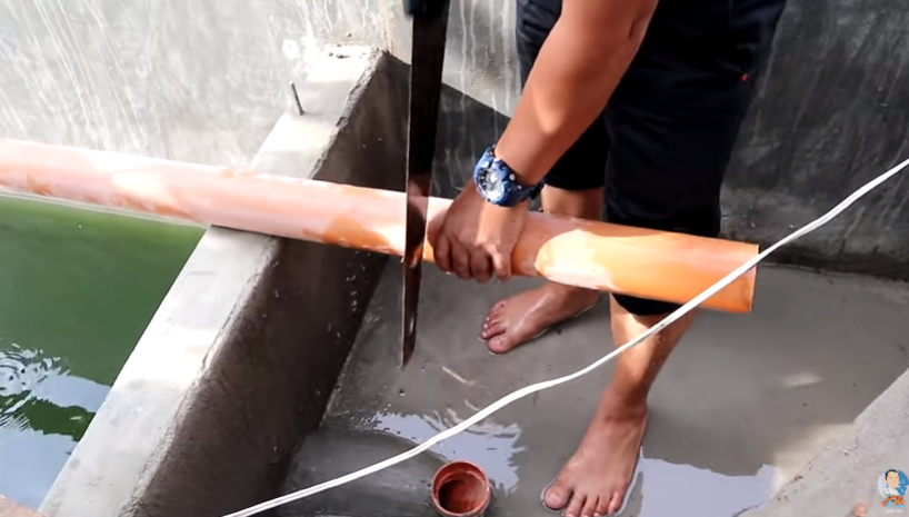 My Newly Adopted Filtration System Works!