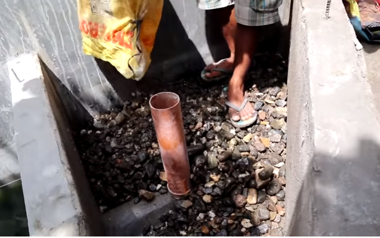 Day in the Life of Pets: A Backyard Farm Update