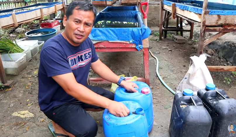 Basics in Shubunkin Breeding