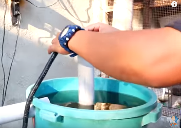 Most Asked Questions in Fish Breeding