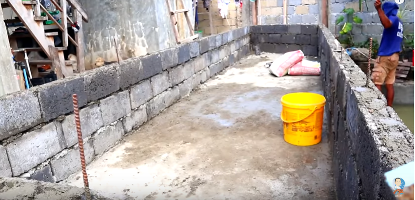 Update on My Fish Tank and Multi-Color Candy Betta Fish Breeder