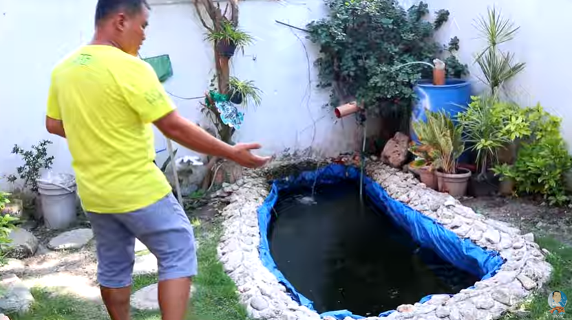 Harvesting Fishes for a Cause