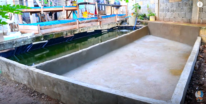 Another Cute Baby Fishes Again!