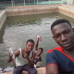 7 Tips to a successful Catfish farming Business