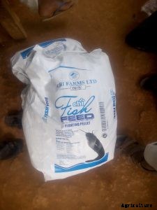 How to know which Feed to use for your Catfish.