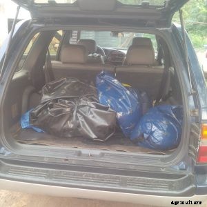 How to know which Feed to use for your Catfish.