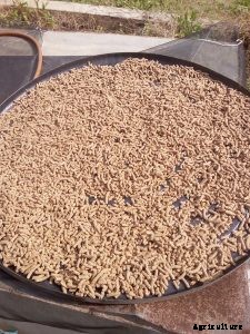 How to know which Feed to use for your Catfish.