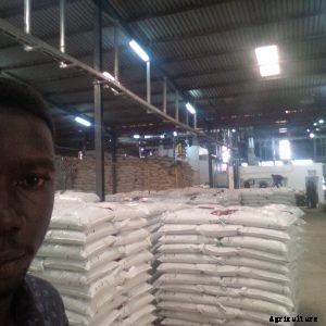 How to know which Feed to use for your Catfish.