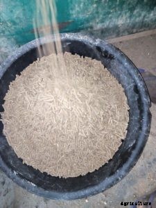 How to know which Feed to use for your Catfish.