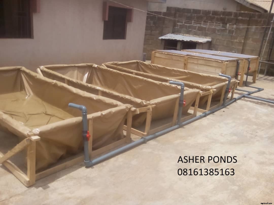 Four Different Types of Tarpaulin Mobile Fish Ponds in Nigeria.