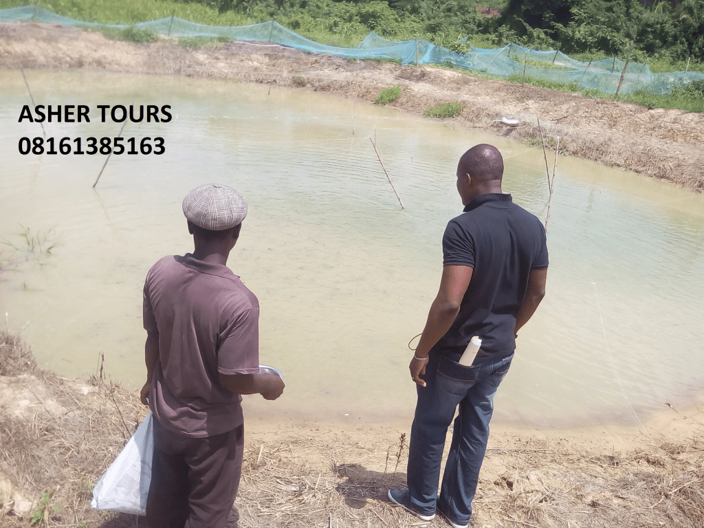 Make Sure You do this before You Start Your Catfish Farm!