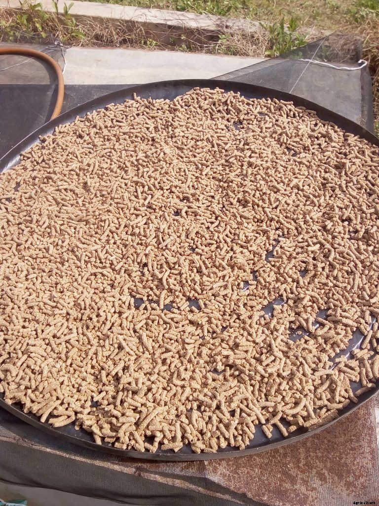 How to Calculate the FCR of your Fishes.